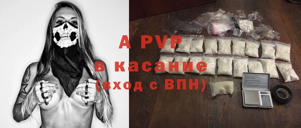 хмурый Аркадак
