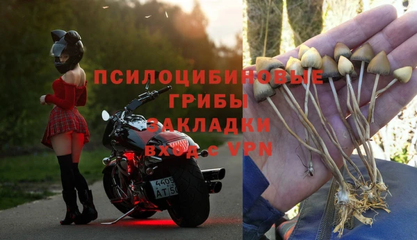 соль ск Балахна