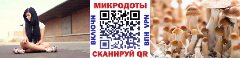 Псилоцибиновые грибы Magic Shrooms  где купить наркотик  Кувандык 