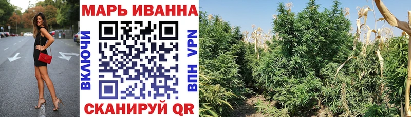 наркотики  Кувандык  Шишки марихуана гибрид 
